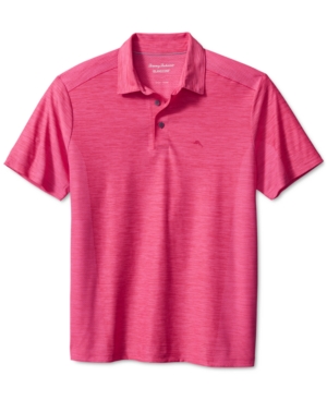 Tommy Bahama Men's IslandZone Palm Coast Polo