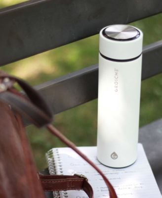 Chicago Insulated Tea Infuser Bottle, 15.2 fl oz Capacity with Long Tea Infuser