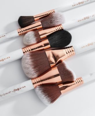 Sigma Beauty The Dream Augenpinsel-Set, 12 Pinsel + Kosmetiktasche – Design Von BeautyyBird