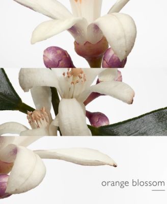 HERMÈS Eau de Cologne, 3.3-oz.