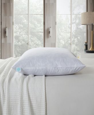 Feather Firm 2-Pack Pillow, European