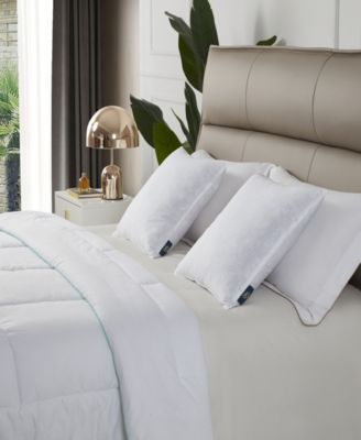 Feather Filled 2-Pack Pillow Inserts, 20" x 20"