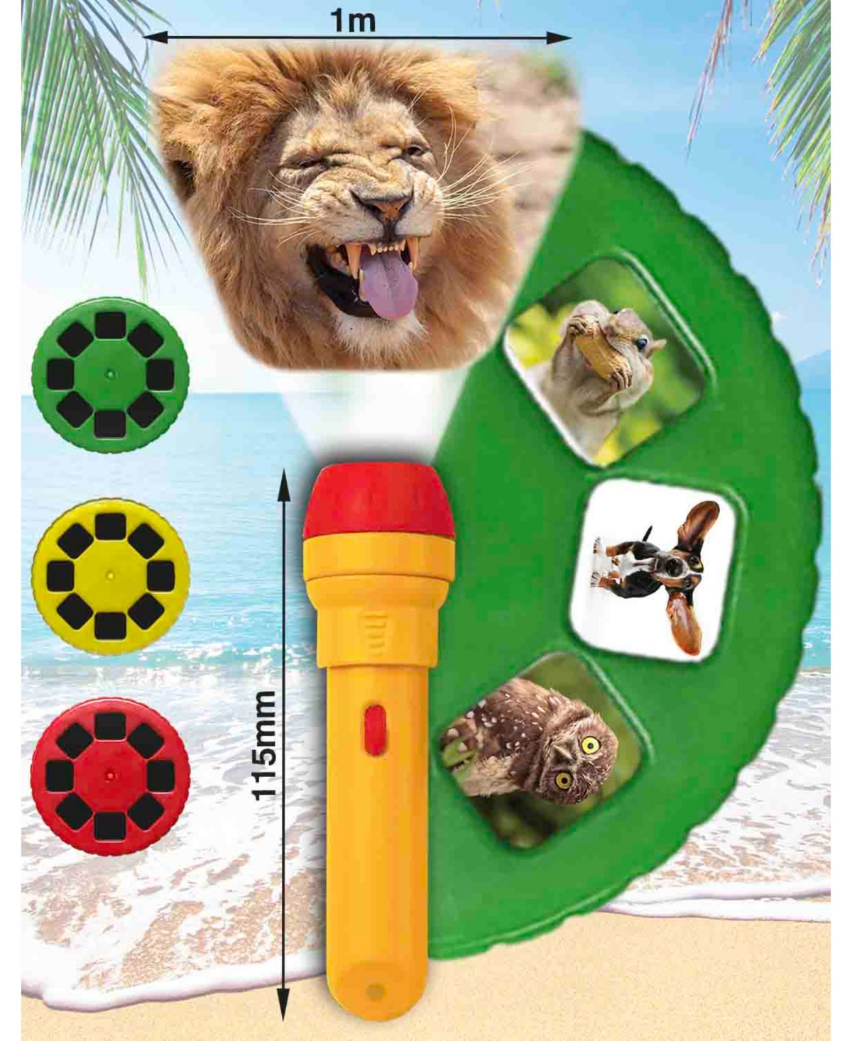 Shop Brainstorm Toys Funny Animals Torch And Projector In Multi