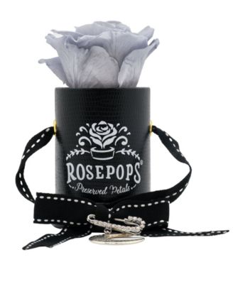 Rosepops