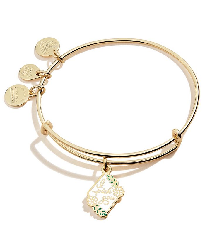 I pick you alex and ani online