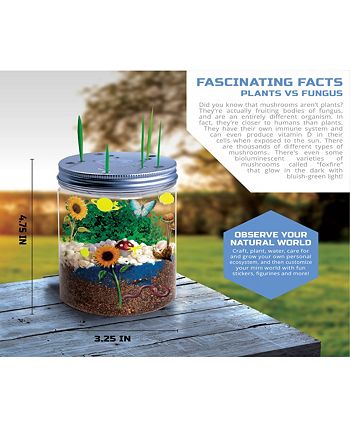 Discovery Mindblown Weather Terrarium DIY Build and Grow Kit 8 Age for sale online 