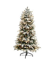 Flocked North Carolina Fir Artificial Christmas Tree with 350 Warm Lights and 1247 Bendable Branches, 5'