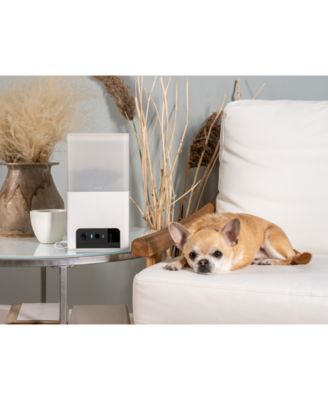 Petcube Bites 2 Lite Smart HD Pet Camera with Treat Dispenser