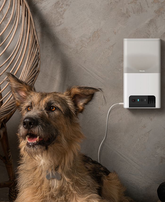 Petcube Bites 2 Lite Smart HD Pet Camera with Treat Dispenser Macy's
