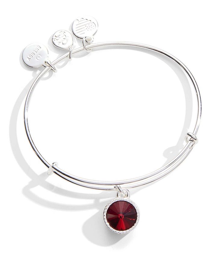 Alex and ani best sale january birthstone bracelet