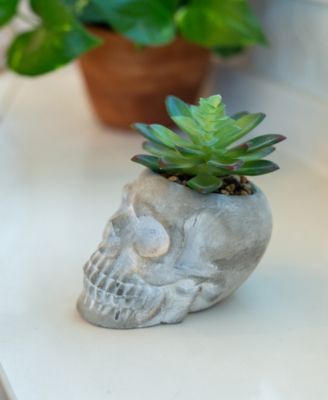 5" Artificial Succulent in Cement Sugar Skull