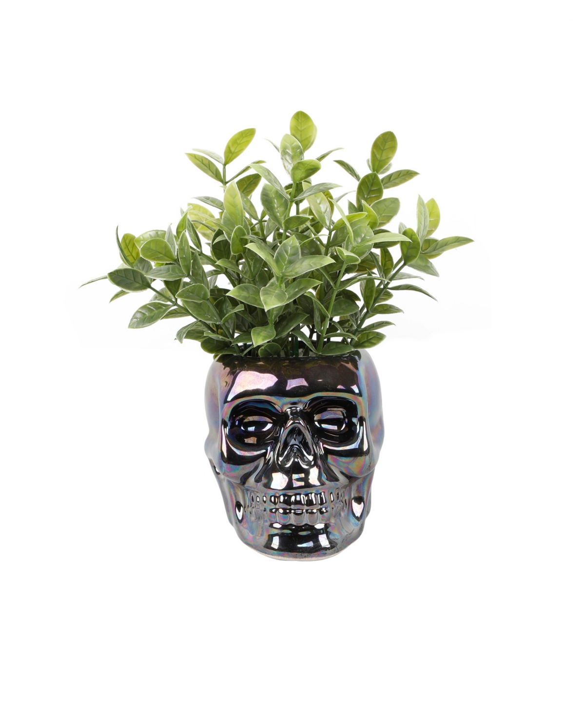 8.5" Artificial Tealeaf in Metallic Skull Ceramic - Metallic Black, Green-Succulent