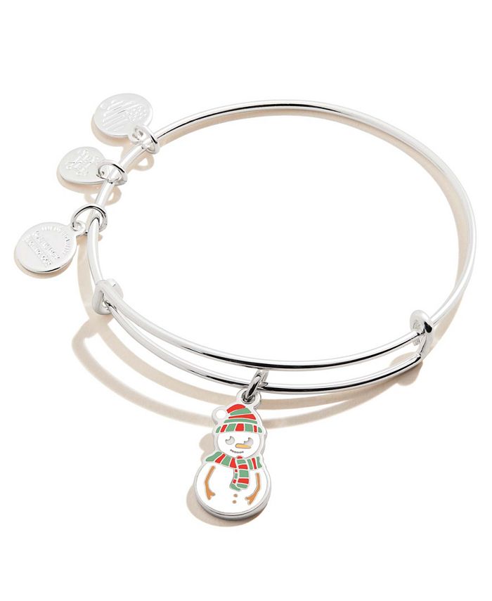 Alex and ani color infusion on sale
