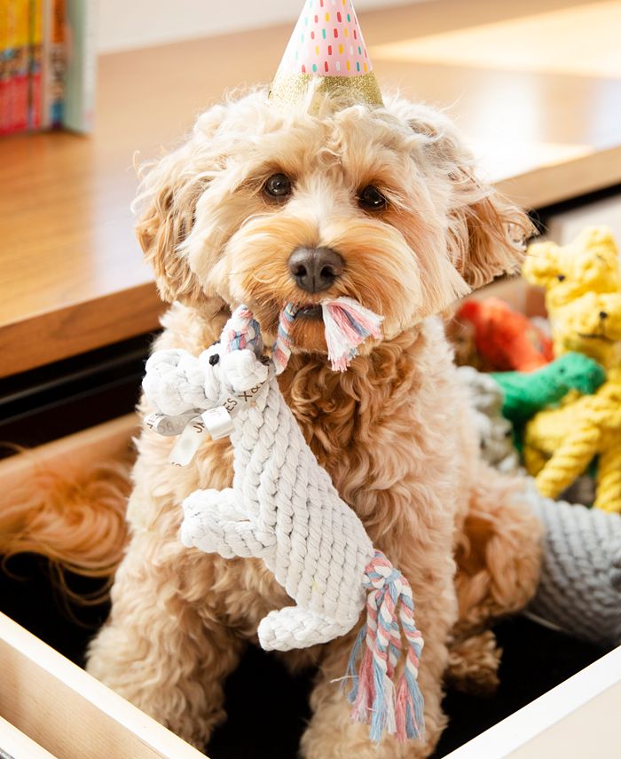 Unicorn rope 2025 dog toy