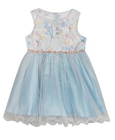 Baby Girls Embroidered Illusion Bodice to Wire Hem Glitter Mesh Dress
