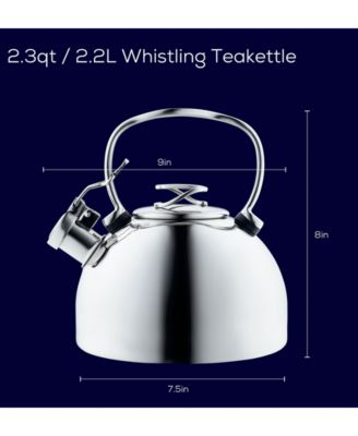 Stainless Steel 2-Qt. Whistling Teakettle with Flip-Up Spout
