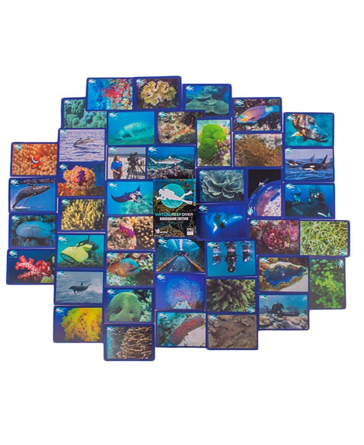 Accoutrements Virtual Reef Diver Tabletop Edition, Educational Memory Card Game, Half Monster Games, 50 Piece In Multi