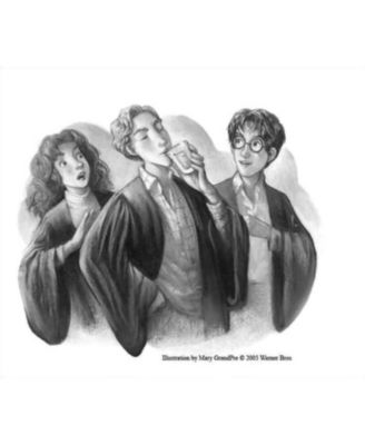 Barnes & Noble Harry Potter and the Half-Blood Prince by J. K. Rowling