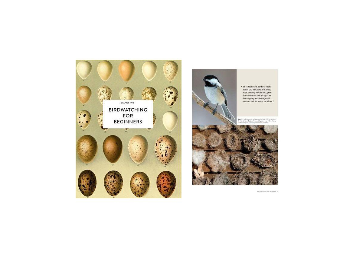 The Backyard Birdwatcher's Bible - Birds, Behaviors, Habitats, Identification, Art & Other Home Crafts by Paul Sterry