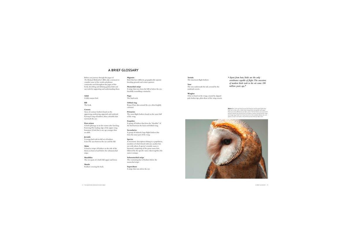 The Backyard Birdwatcher's Bible - Birds, Behaviors, Habitats, Identification, Art & Other Home Crafts by Paul Sterry