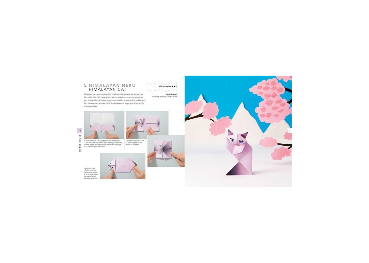 Origami Pets: Paper block plus 64-page book by Mari Ono