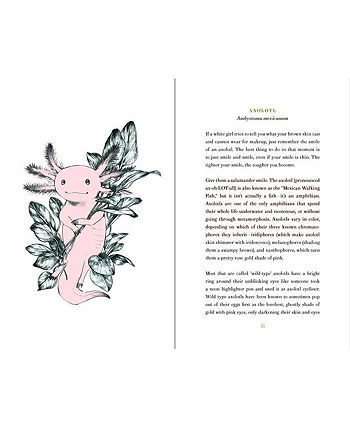Barnes & Noble - 