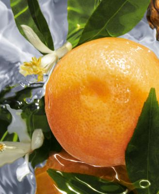 Aqua Allegoria Pamplelune Eau de Toilette, 4.2 oz.