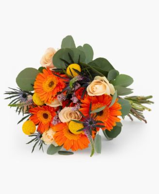 BloomsyBox