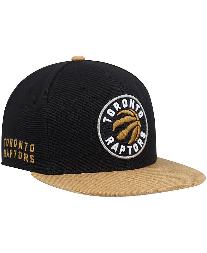 Toronto Raptors Mitchell & Ness Team Logo Snapback Hat - Heathered