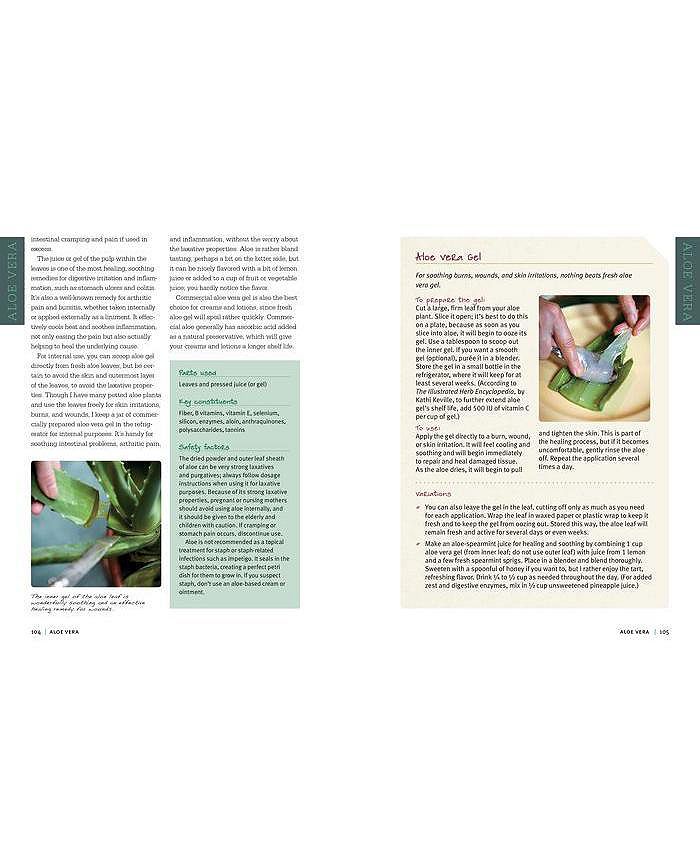 Barnes & Noble Rosemary Gladstar's Medicinal Herbs A Beginner's Guide