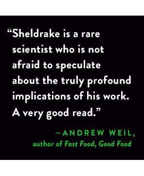 Entangled Life: How Fungi Make Our Worlds, Change Our Minds & Shape Our Futures by Merlin Sheldrake