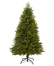 Sun Valley Fir Artificial Christmas Tree with Lights, 60"