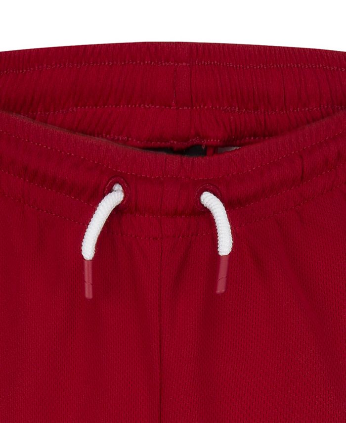 Jordan Big Boys Jumpman Big Air Mesh Shorts & Reviews - Activewear ...