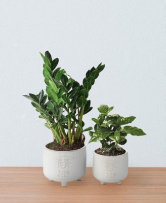 Be Kind Footed Ceramic Planter, Set of 2