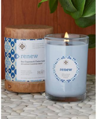 Seeking Balance Renew Seaside Cypress Cedar leaf Spa Jar Candle, 6.5 oz