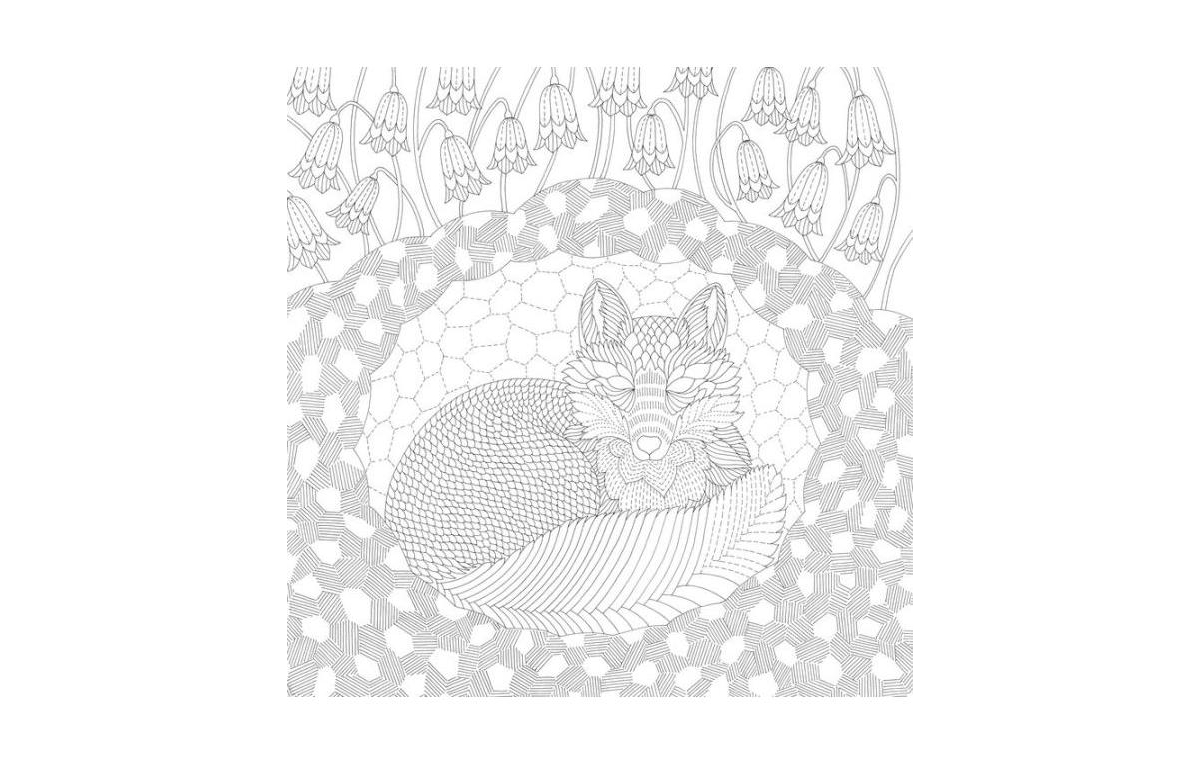 Millie Marotta's Woodland Wild by Millie Marotta