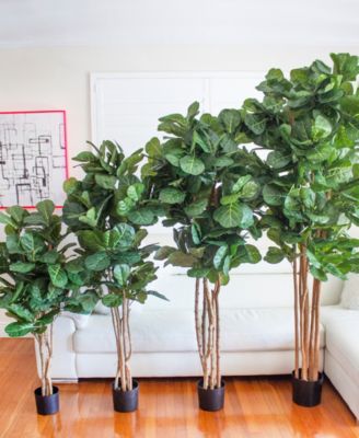 6' Fiddle Leaf Fig Tree