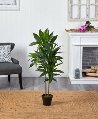 43" Dracaena Real Touch Plant 