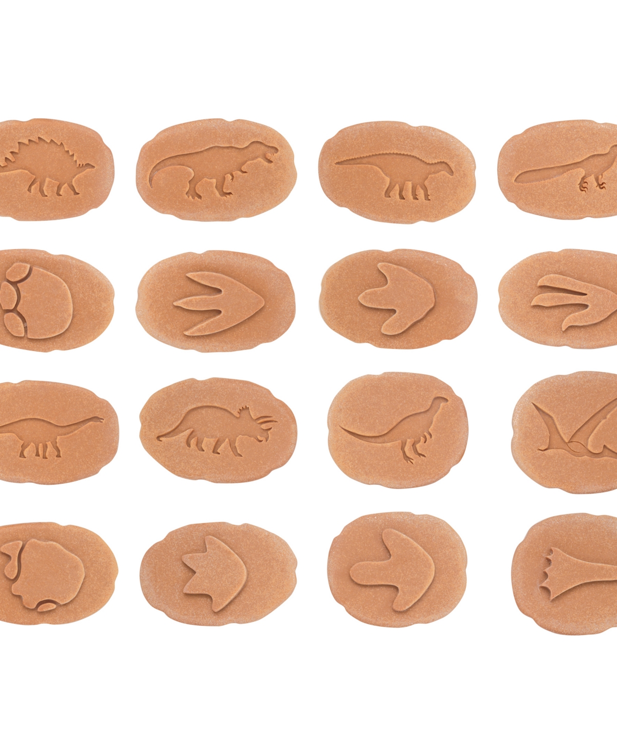 Yellow Door Let's Investigate Dinosaur Footprints, Set Of 8 In Tan