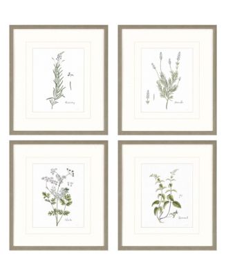 Paragon Picture Gallery Cottage Herbs Wall Art Set, 4 Piece - Macy's