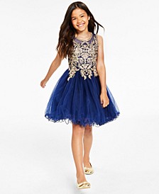 Big Girls Mesh Wire Hem Dress with Embroidered Applique