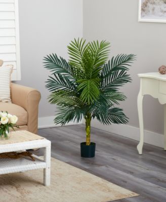 4' Golden Cane Palm Tree