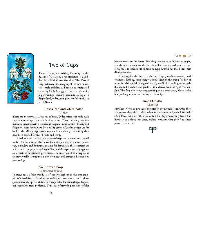 Barnes & Noble Nature Spirit Tarot A 78Card Deck and Book For The