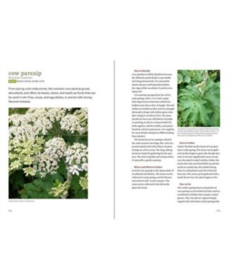 Midwest Foraging: 115 Wild and Flavorful Edibles from Burdock to Wild Peach by Lisa M. Rose