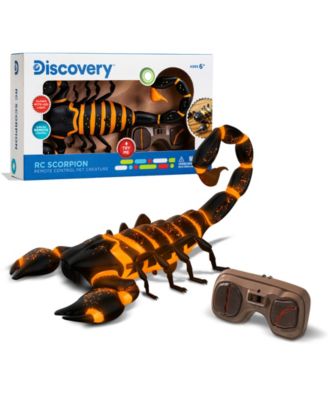 RC Scorpion, Glow In The Dark Body, Wireless Remote-Control Toy for Kids