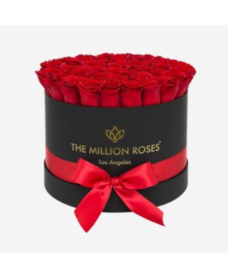 The Million Roses