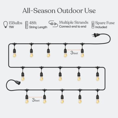 Ambience Pro 48 ft. Incandescent Indoor/Outdoor Weatherproof 11-Watt String Lights
