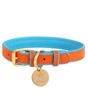 Michael kors dog online clothes
