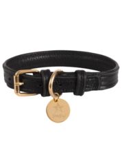 Coach discount dog accessories