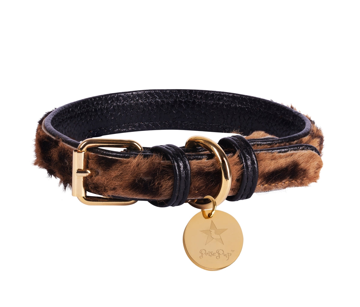 PoisePup Pet Dog Collar -- Wildest one
